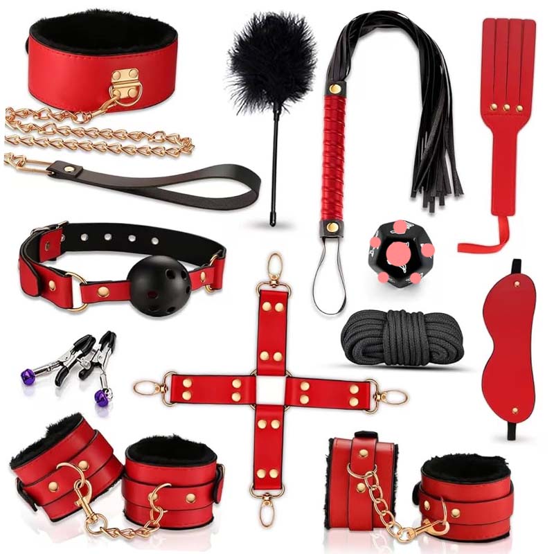 Health Wellness Kit - 12-Piece Couples BDSM Bondage Kit for