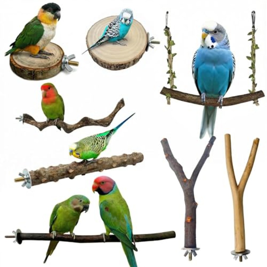 8PCS natural wood bird perches - đánh giá và giá Health & Wellness Expo